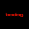Visit Bodog Casino
