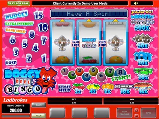 Play Doggy Reel Bingo Slot for Real Money