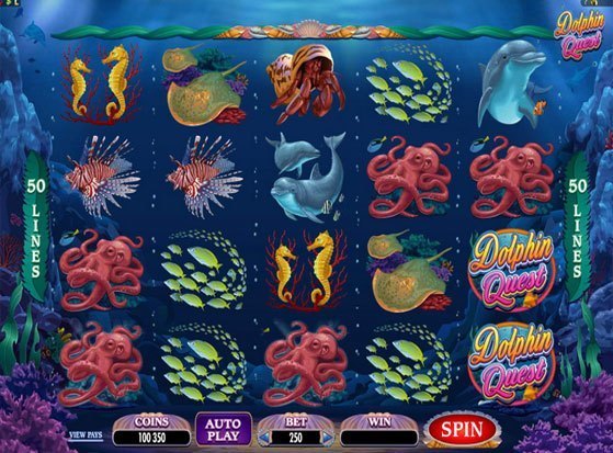 Play Dolphin Quest Slot for Real Money