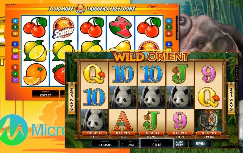 New Slots Planned by Microgaming