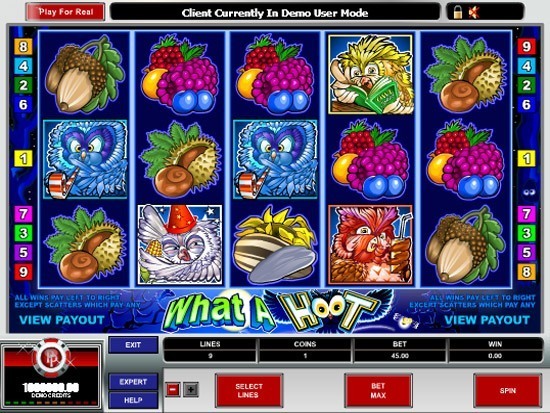 Play What a Hoot Slot for Real Money