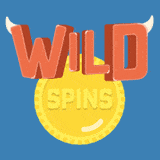 Visit Wild Spins Casino