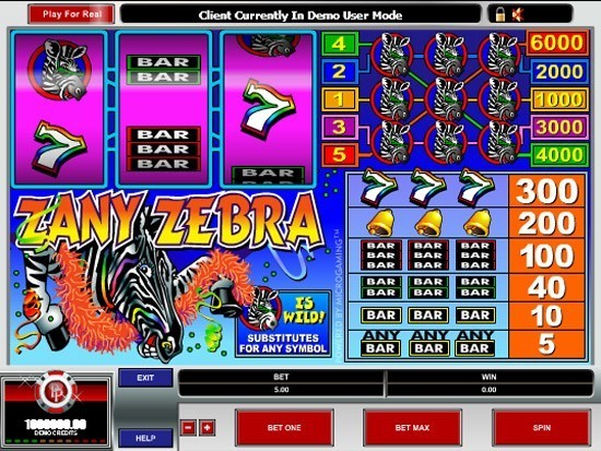 Play Zany Zebra Slot for Real Money